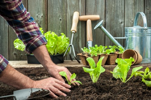 Selection of native and seasonal plants for landscaping