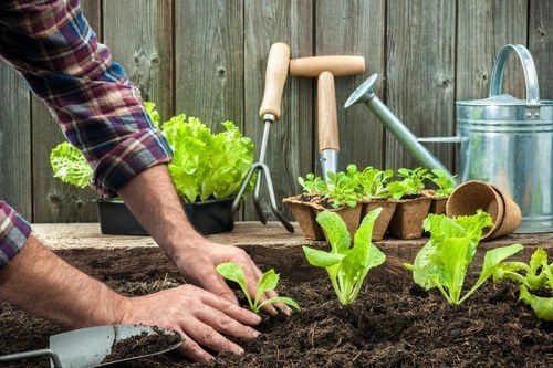 Healthy garden soil prepared for planting