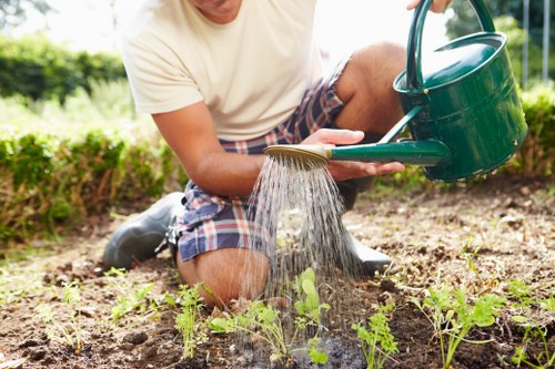 Covent Garden climate affecting garden maintenance