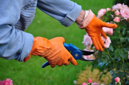 Professional garden clearance services in Covent Garden