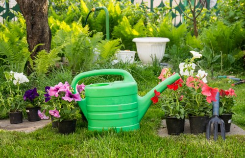 Experienced lawn mowing service in Covent Garden