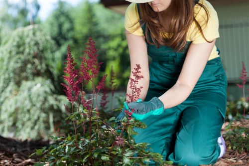 Commitment to sustainability in lawn care practices