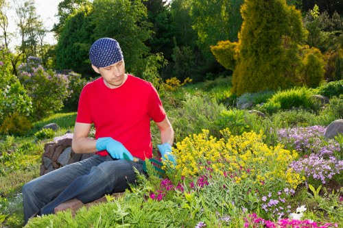 Selection of lawn mowing equipment