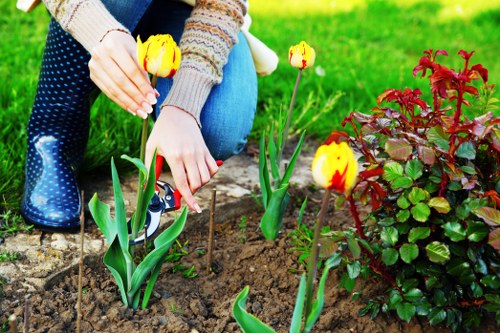 Eco-friendly garden maintenance tools