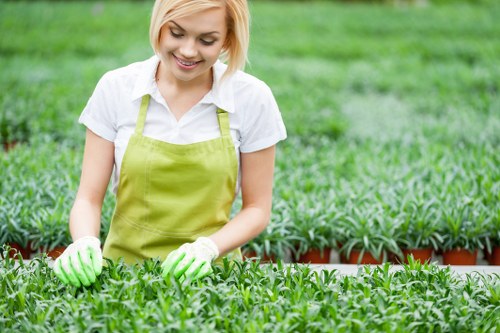 Professional lawn mowing techniques