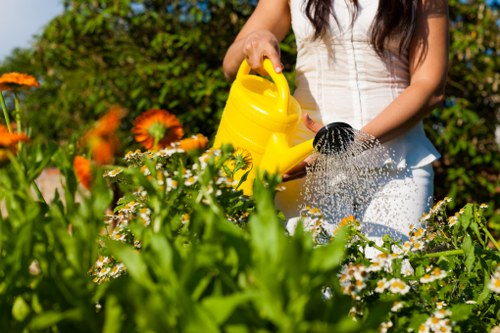 Eco-friendly tree maintenance practices in Covent Garden gardens