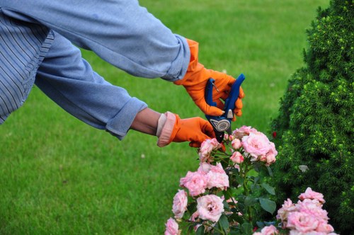 Invitation to join Covent Garden Lawn Mowing services