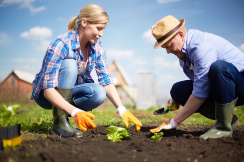 Sustainable gardening practices in Covent Garden