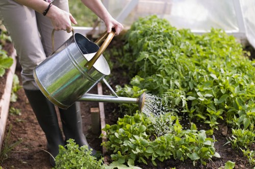 Seasonal garden maintenance activities in summer